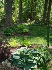 Seven Secrets to a Successful Shade Garden