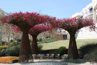 A Visit to the Getty Center Gardens, March, 2010 – KarensGardenTips.com