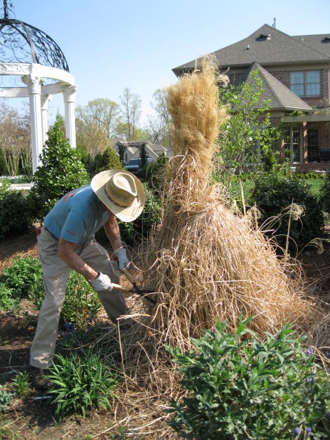 how-to-cut-down-ornamental-grasses-for-the-spring-clean